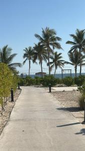 a concrete pathway with palm trees on the beach at Cosy 1BR with a PUBLIC POOL and WIFI in Ma‘mūrah