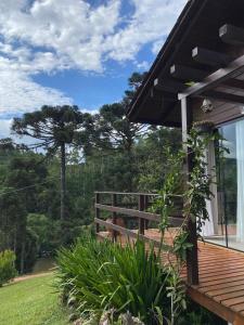 a porch of a house with a view of the forest at Ebenezer in Benedito Novo