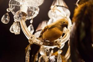 a bird perched on a bird feeder at Hotel Diamonds and Pearls in Antwerp