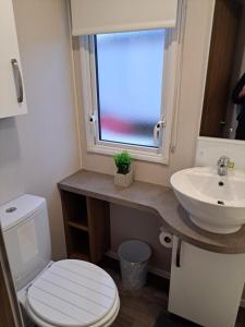 a bathroom with a toilet and a sink and a window at The vintage in Winthorpe
