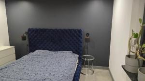 sypialnia z niebieskim łóżkiem i niebieskim kocem w obiekcie Solid house w mieście Kamionka