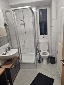 a bathroom with a shower and a toilet and a sink at Inna's and Dima's Ferienwohnung in Pirmasens +12 photos