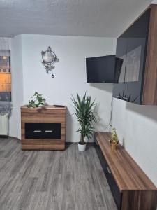 a living room with a tv and a wooden table at Inna's and Dima's Ferienwohnung in Pirmasens