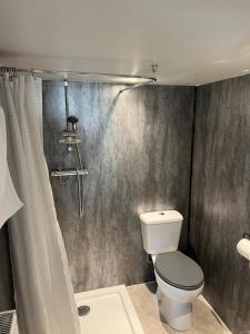 a bathroom with a toilet and a shower at Pitfield Apartments in Willand +6 photos