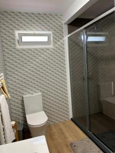 a bathroom with a toilet and a glass shower at Quinta do Marnoto in Gafanha do Carmo +6 photos