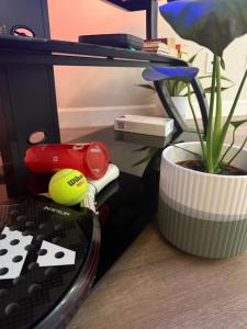 een computermonitor met een plant op een bureau bij Cé La Vie in Québec +5 foto's