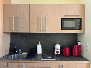 a kitchen counter with a sink and a microwave at Rilets Studio by BulgarianHomes in Borovets