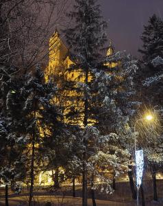 een verlicht gebouw met besneeuwde bomen ervoor bij QUEEN’S HEART GUESTHOUSE in Bran