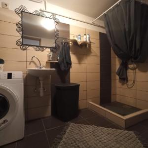 a bathroom with a sink and a washing machine at Tisza-tavi Menedék in Poroszló
