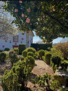 En have udenfor Quinta da Maínha - Charming Houses - Escape to Nature
