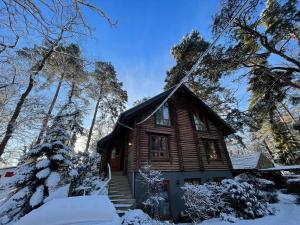 Holzhaus am See om vinteren