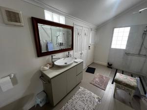 a bathroom with a sink and a mirror and a shower at Homestead BnB in Maudsland