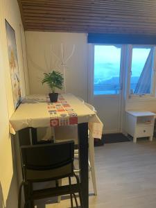 a table with a potted plant on it in a room at The top half of a house with sea view in Steinkjer +38 photos