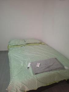 a bed in a room with a green bedspread at Casa alexander 2 in Acapulco