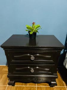 a black dresser with a plant on top of it at Departamento Flores in Catemaco +1 photo