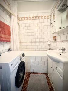 un bagno con lavatrice e lavandino di Termál Apartman a Tiszaújváros