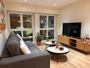een woonkamer met een bank en een flatscreen-tv bij LAS TERRAZAS I in Ourense