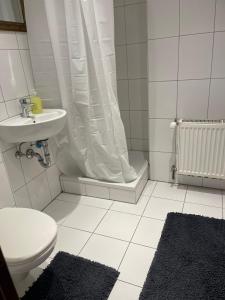 a bathroom with a shower and a toilet and a sink at Haus zum Bacchus Privatezimmer near Bahnhof Römisches Theater Mainz in Mainz