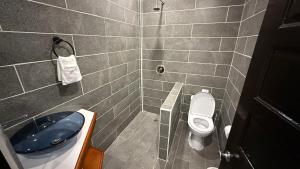 a bathroom with a toilet and a blue sink at Serenade Hotel in Placencia +38 photos
