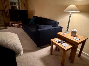 a living room with a blue couch and a table with a lamp at Mordor Lodge in Braunton