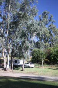 Ảnh trong thư viện ảnh của BIG4 Tiny Away Escape at Seymour Riverside ở Seymour