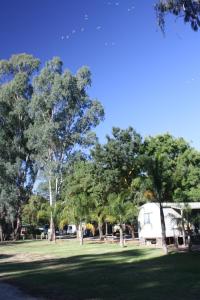 Ảnh trong thư viện ảnh của BIG4 Tiny Away Escape at Seymour Riverside ở Seymour +50 ảnh