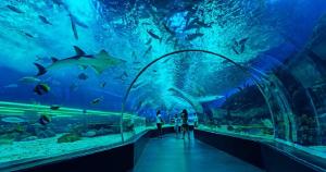 a group of people walking through an aquarium with fish at Janna's Condo Hotel in Cebu City