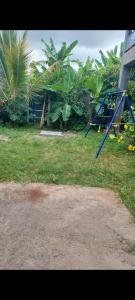 ein blauer Spielplatz in einem Garten mit Palmen in der Unterkunft Amana in Bandraboua
