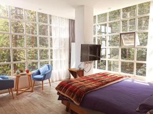 a bedroom with a bed and a tv and large windows at Jacky's Guesthouse in Yuanyang