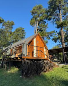 a tree house on a stump in the grass at Cabañas Punto Prana in Tandil