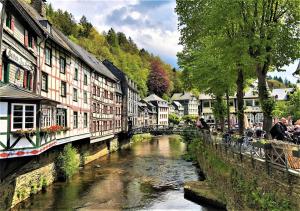 a river in a town with buildings and a bridge at Green Seeblick Hotel am See in Obermaubach