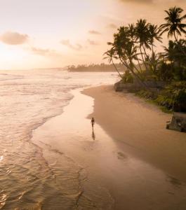 a person walking on a beach with palm trees at Nirvana Surf Retreat - Kabalana in Atadahewatugoda