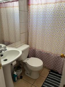 a bathroom with a toilet and a sink and a shower curtain at Los Castaños Pucón in El Cerrillo +8 photos