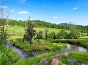 a creek in a field with grass and trees at Modern barn by the creek in Evergreen