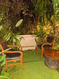 En have udenfor Casa el Jardin + 23 billeder