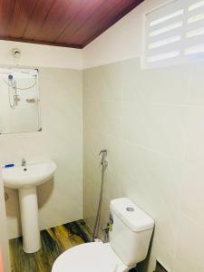a bathroom with a white toilet and a sink at Gold Stream Villa in Demodara