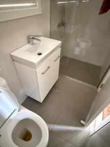 a bathroom with a shower and a toilet and a sink at Coolamon in Ballina