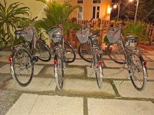 Cykling ved Happy House by the Mountain eller i nærheden