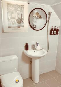 een badkamer met een wastafel en een spiegel en een toilet bij The Cozy Oven in Busan