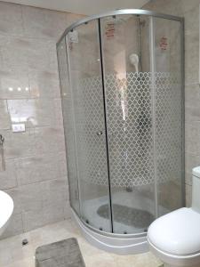 a shower in a bathroom with a toilet and a sink at Cabañas Perlas del Sur in Valdivia +4 photos
