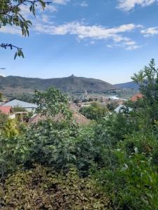 a view of a city from behind some trees at Apartment 9 in Mtskheta