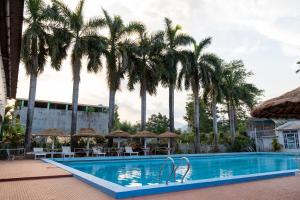 ein Pool in einem Resort mit Palmen in der Unterkunft Siddhartha Hotel Narayangarh in Bharatpur