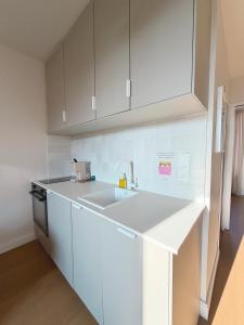 een keuken met witte kasten en een spoelbak bij Le Ptit Rennes- 200 m de la Gare Cosy Lumineux in Rennes +9 foto's