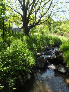 a stream of water with rocks and a tree at Okuti Country Cottage, a private and peaceful retreat in Little River +4 photos