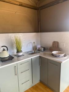 a kitchen with a sink and a counter top at Oudemuur Glamping in Montagu