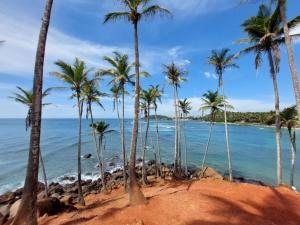 a group of palm trees on a beach at Crystal Pearl Villa, Weligama - 3min to beach in Weligama