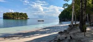 a beach with a boat in the water at Togean Pulotiga Resort in Popolii +16 photos