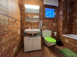 a bathroom with a toilet and a sink and a mirror at Lärchenwald Lodge in Bellwald +59 photos