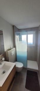 a bathroom with a shower and a toilet and a sink at Ferienwohnung Stützen in Brig +21 photos
