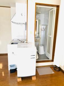 ein Badezimmer mit Waschbecken und Spiegel in der Unterkunft れのん in Okazaki